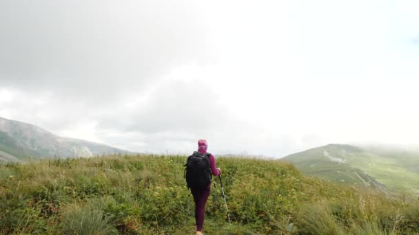 Kobieta turystka uczestniczy w nordyckiej wycieczce pieszej na Kaukazie i spaceruje wzdłuż góry wśród trawy i krzewów na skraju góry jesienią, zbliża się powrót strzał Adygea, Rosja. - Materiał filmowy, wideo