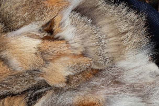 futro z kawałków futra różnych zwierząt jako tło - Zdjęcie, obraz