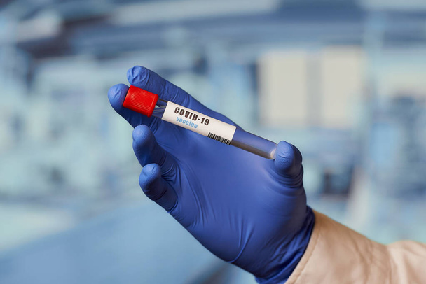Una mano de un asistente de laboratorio en un guante médico desechable azul sostiene una sonda de ensayo con una vacuna contra el coronavirus (COVID-19) en el laboratorio
. - Foto, Imagen