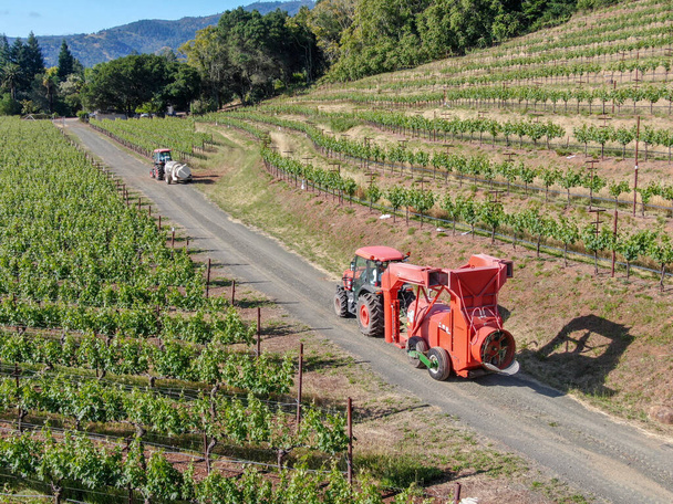 Mezőgazdasági traktor peszticidek és rovarirtó szerek permetezésére zöld szőlőültetvényen. - Fotó, kép