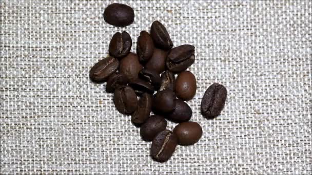 Coffe beans fall from top of bottom. A close up of a coffe beans. - Felvétel, videó