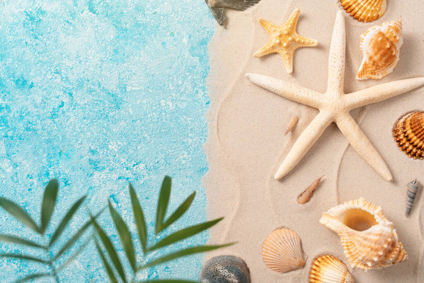 summer beach background with shell sea star blurred Palm vacation and travel concept, Flat lay top view copy space Minimal exotic concept. Creative layout of sand waves and sea - Fotoğraf, Görsel