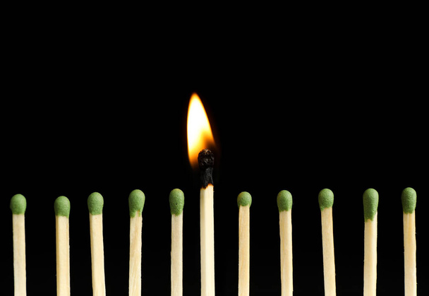 Burning match among unlit ones on black background, closeup - Photo, image