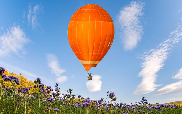 Mavi gökyüzü arka planına sahip çiçek tarlalarının üzerinde renkli bir balon - Fotoğraf, Görsel