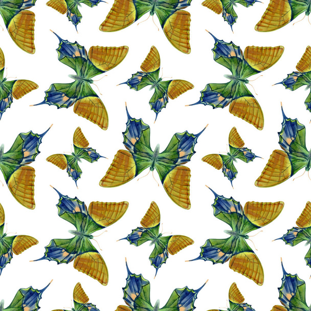 Watercolor seamless pattern with beautiful butterflies. Stock illustration of endless wallpaper. - Fotó, kép