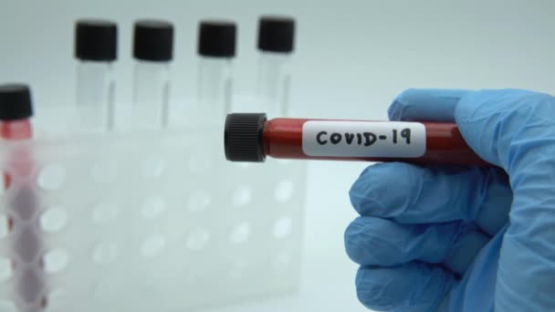 4K, Laboratory technician hand hold on blood sample tube for corona virus test , COVID-19. Scientist with blue gloves for protection. Vaccine research for the 2019-nCoV-Dan - Felvétel, videó