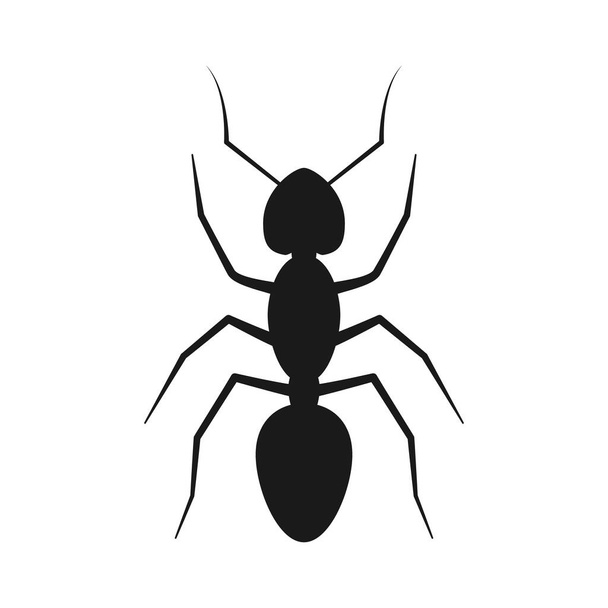 Black silhouette ant isolated on white - Vector, imagen