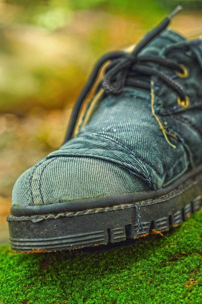 Old shoe - in the grass green moss. - Fotoğraf, Görsel