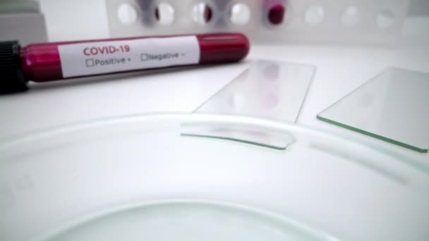 4K, Scientist dropping a sample into Petri dish of blood test for coronavirus science and healthcare testing for influenza transmission. Equipment science experiments at laboratory petrischalen.-Dan - Πλάνα, βίντεο