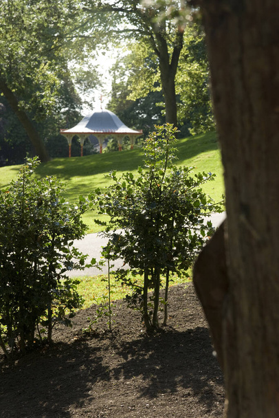 Näkymä Arboretumiin Lincolnin itäpäässä, Lincolnshire, Iso-Britannia elokuu 2009
 - Valokuva, kuva