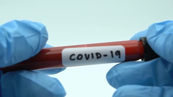 Αργή κίνηση του σωλήνα δοκιμής με μολυσμένο δείγμα αίματος για COVID-19, νέο coronavirus βρέθηκαν σε Wuhan, Κίνα. Επιστήμονας με μπλε γάντια για προστασία. Έρευνα εμβολίου για τον ιό 2019-nCoV-Dan - Πλάνα, βίντεο