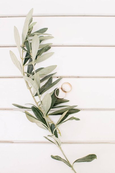 Wedding rings and olive branch. On a white background. - Photo, image