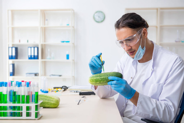 Nutrição masculina especialista em testes de vegetais em laboratório - Foto, Imagem