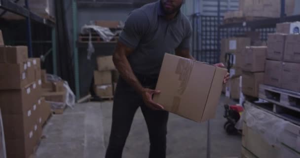 Афроамериканський менеджер у транспортуванні коробок для переміщення - Кадри, відео