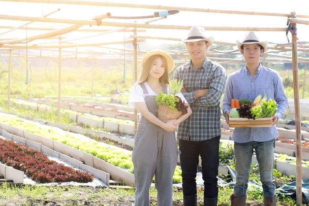 Krásný portrét mladé asijské ženy a muž sklizeň a vyzvednutí čerstvé ekologické zeleninové zahrady v košíku na hydroponické farmě, zemědělství pro zdravé jídlo a podnikání podnikatelský koncept. - Fotografie, Obrázek