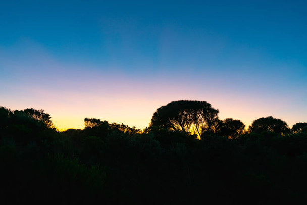 Silhouette Wald Baumgrenze unter bunten Sonnenuntergang Himmel - Foto, Bild