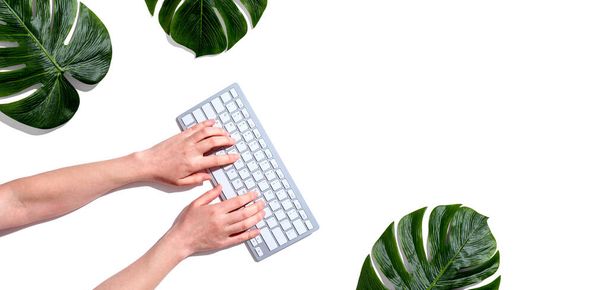 Person using a computer keyboard with tropical leaves - Photo, image