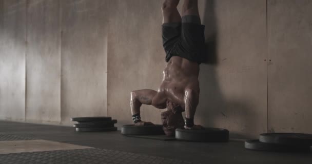 Ο άνθρωπος κάνει handstand push ups στο γυμναστήριο - Πλάνα, βίντεο