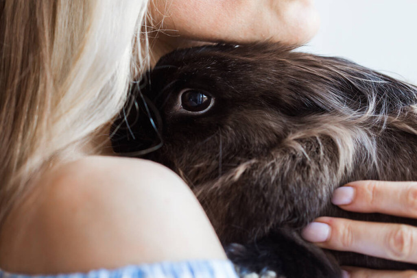 Pet and Easter concept - Attractive girl hugging brown rabbit at home, close-up. - Photo, image