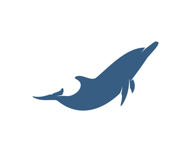 Dolphins logo design vector template. Silhouette of Dolphins design illustration - Vetor, Imagem