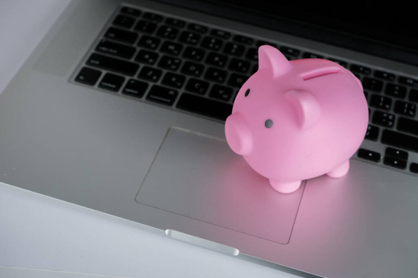 Pink piggy bank  with a laptop.Concept of saving money, make a deposit.Money in save. - Фото, зображення