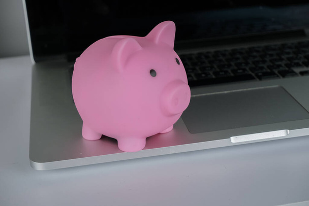 Pink piggy bank  with a laptop.Concept of saving money, make a deposit.Money in save. - Foto, afbeelding