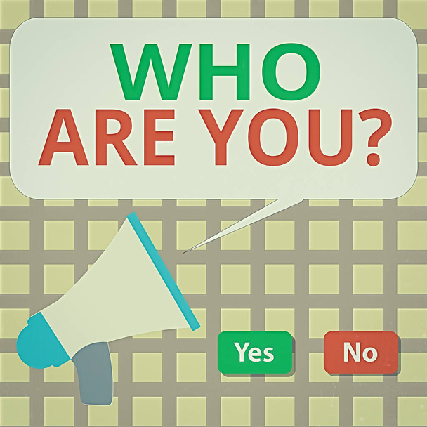 Γραπτό σημείωμα που δείχνει το "Ποιος είσαι εσύ". Επιχειρηματική φωτογραφία προβάλλοντας ζητώντας μια επίδειξη ταυτότητας ή αποδεδειγμένες πληροφορίες Selection Button Πράσινο και κόκκινο με φούσκα ομιλίας Megaphone. - Φωτογραφία, εικόνα