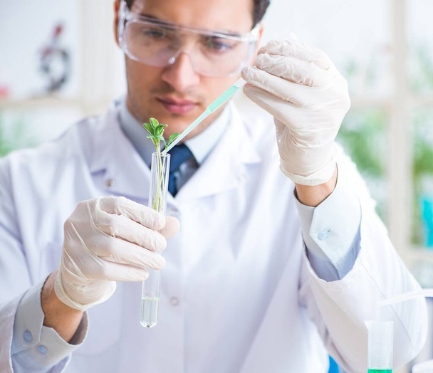 Male biochemist working in the lab on plants - Photo, Image