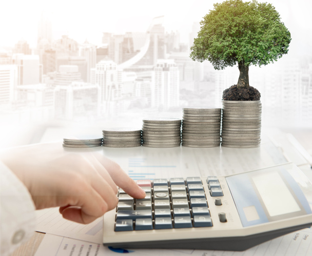 Analista de Fondos calcula datos de informe financiero y crecimiento de árboles en pila de monedas
 - Foto, imagen