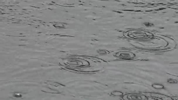 4k Fallendes Regenwasser auf dem Lake-Dan - Filmmaterial, Video