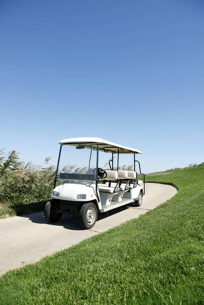 グリーンゴルフ場の白いゴルフカート - 写真・画像