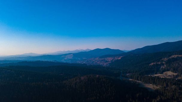 Carpathian mountains landscape pine forest needles aerial photography. - Фото, изображение