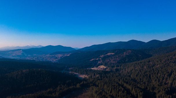 Carpathian mountains landscape pine forest needles aerial photography. - Photo, Image