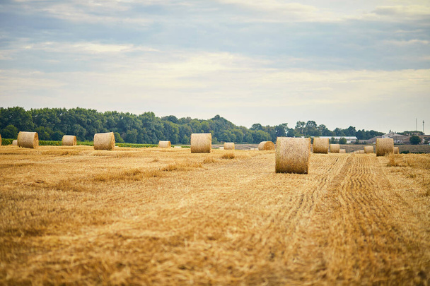 Sommer-Bauernhof-Landschaft mit Heuhaufen vor dem Hintergrund des schönen Himmels im Feld als landwirtschaftliches Konzept. - Foto, Bild