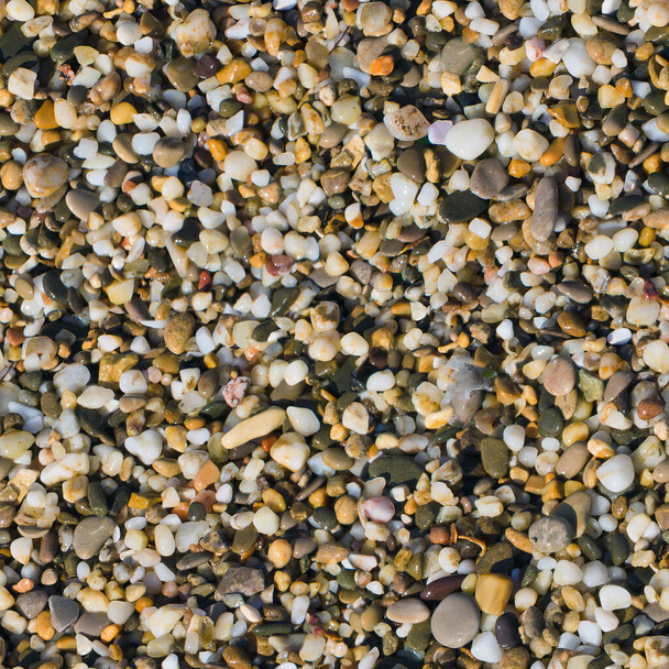 zökkenőmentes minta tengeri kavicsos kagyló a strandon - Fotó, kép