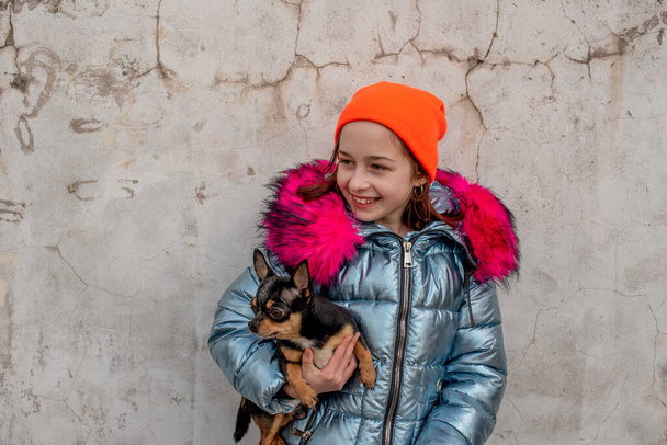 Meisje en hond. Klein meisje met een chihuahua puppy. Een puppy in de handen van een meisje. Meisje met haar huisdier in haar armen. Chihuahua in zwart, bruin en wit. Kinderen houden van hun dieren.Tiener met een hond - Foto, afbeelding