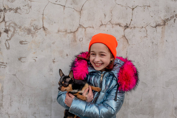 女の子と犬。Chihuahua子犬と小さな女の子。女の子の手に子犬。彼女の腕の中にペットと女の子。黒、茶色、白でChihuahua 。子供たちは動物を愛しています。 - 写真・画像