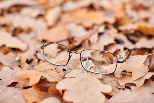 Occhiali su fogliame di autunno. Occhiali persi come simbolo di improvvisa perdita della vista. Carenza di vitamina con l'età
. - Foto, immagini