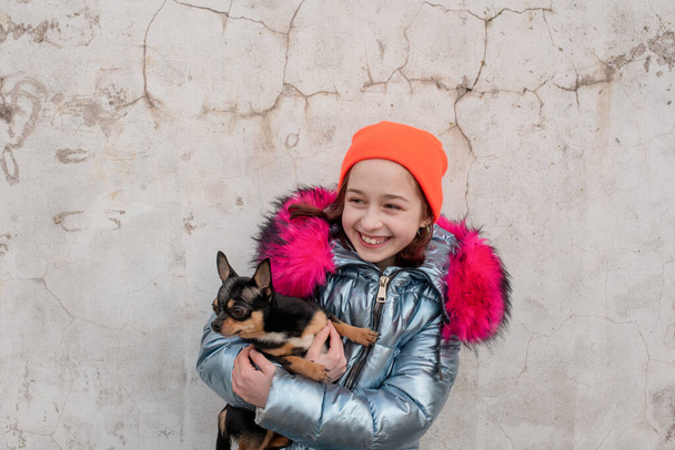 Girl and dog. Little girl with a chihuahua puppy. A puppy in the hands of a girl. Girl with her pet in her arms. Chihuahua in black, brown and white. Children love their animals.Teenager with a dog - Photo, Image