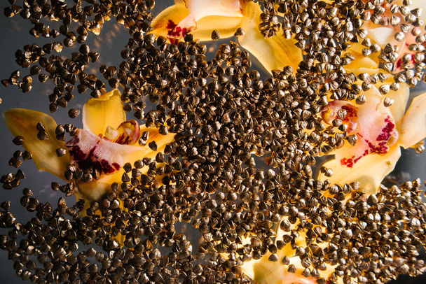 Polvere d'oro grano saraceno con orchidea su sfondo nero
 - Foto, immagini