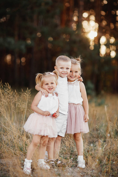 Летом на поле играют трое детей. маленькие дети играют на открытом воздухе улыбаясь. счастливая семья. беззаботное детство
. - Фото, изображение