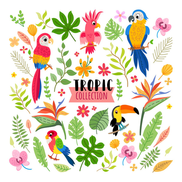 Tropical set for jungle party or wedding. - Vector, Image