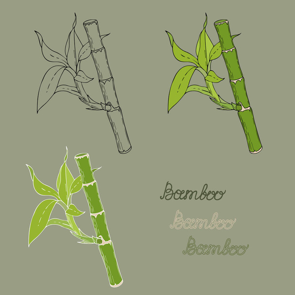  Bamboo stick with green sprout, leaves, contour, hand drawing. - Wektor, obraz