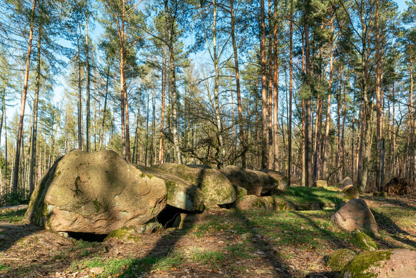 Prehistoric megalith dolmen Kuechentannen (kitchen denns)  near Haldensleben in Germany - Fotoğraf, Görsel