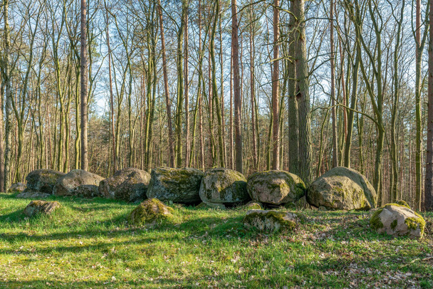 Prehistoric megalith dolmen Kuechentannen (kitchen denns)  near Haldensleben in Germany - Fotó, kép