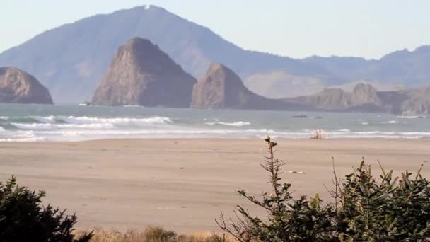 De wilde kust van Oregon biedt een ontspannend en dramatisch kustlandschap dat voortdurend verandert als de golven zich een weg banen door het zand en de rotsen een deel van de Samuel H Boardman Scenic Corridor. - Video
