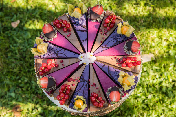 close-up van een veganistische rauwe kleurrijke taart met fruit - Foto, afbeelding