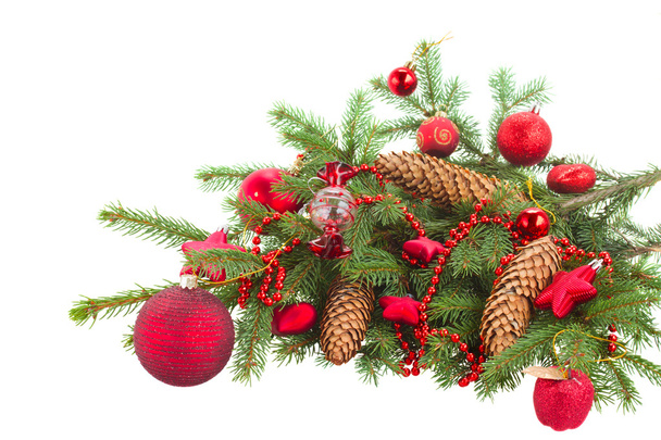 Evergreen fir tree and red christmas ball - Fotó, kép