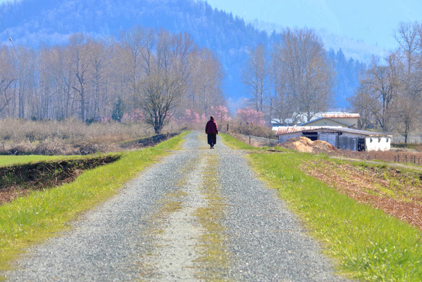 Yalnız ve soyutlanmış bir insan kırsal bir alanda düz bir çakıl yolu boyunca yürür..  - Fotoğraf, Görsel