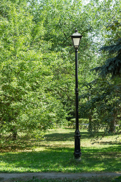 Уличная лампа возле деревьев
 - Фото, изображение